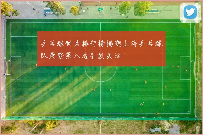 乒乓球耐力排行榜揭晓上海乒乓球队荣登第八名引发关注