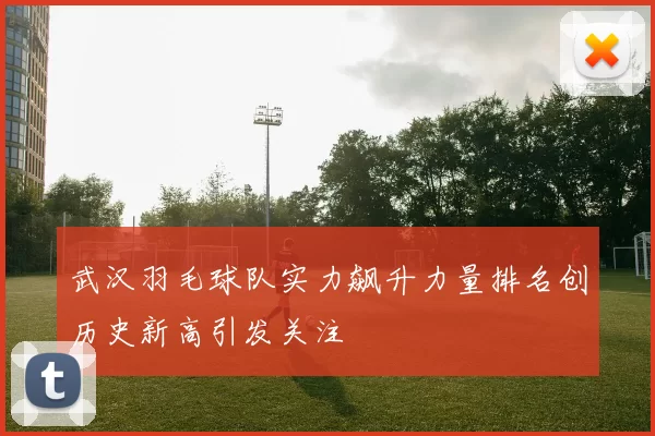 武汉羽毛球队实力飙升力量排名创历史新高引发关注