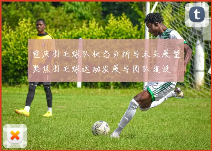 重庆羽毛球队状态分析与未来展望聚焦羽毛球运动发展与团队建设