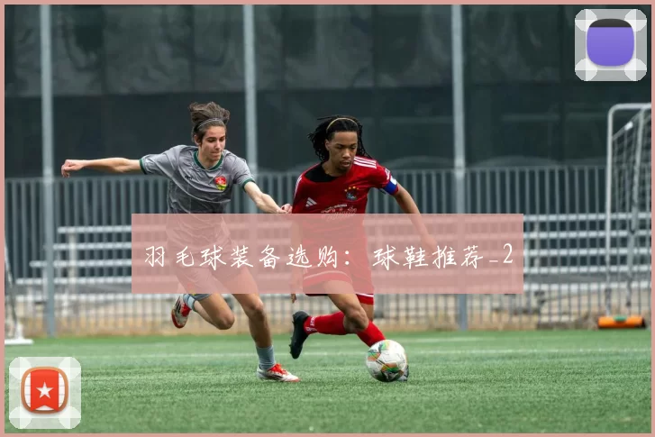 羽毛球装备选购：球鞋推荐_2