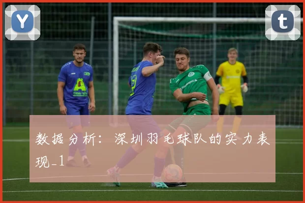 数据分析：深圳羽毛球队的实力表现_1